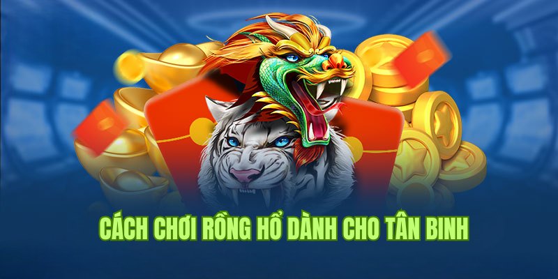 Mẹo chơi đơn giản và dễ thắng dành cho người mới